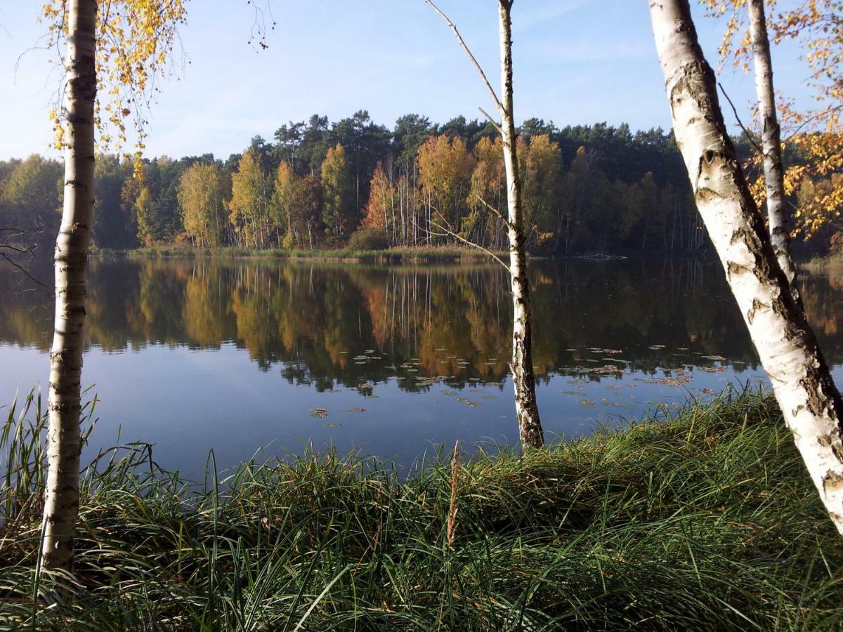 Seeblick III Bad Saarow Esterno foto